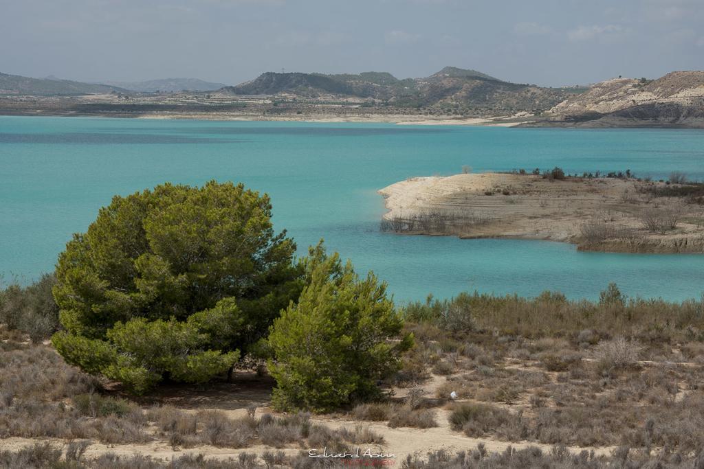 Camping La Pedrera Bigastro Dış mekan fotoğraf